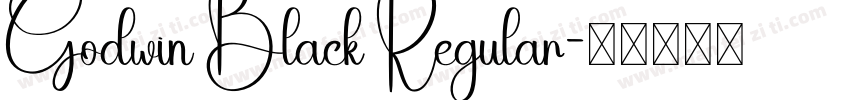 Godwin Black Regular字体转换